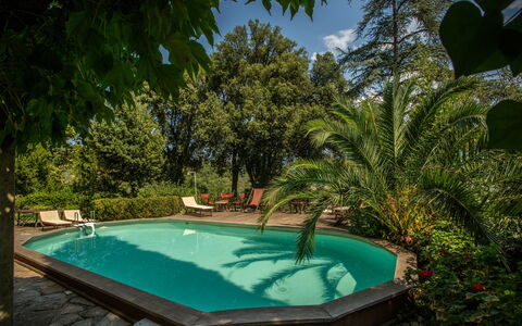 Villa Pedone: Acqua, Pianta, Piscina, Azzurro, Botanica, Cielo, Nube, Shade, Erba, Tempo Libero