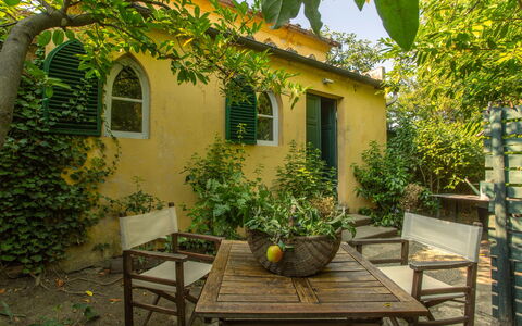 Villa Pedone: Giallo, Arbusto, Porta, Giardino, Casa, Primavera, Vaso Di Fiori, Villetta, Backyard, Shade