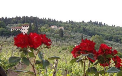 Casa vacanza Villa Luigi - Rignano Sull'Arno, Toscana, Italia
