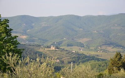 I Mandorli