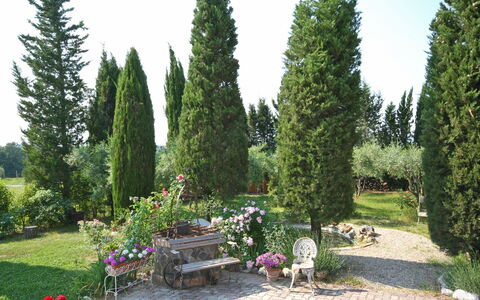 Casa Cipressi: Albero, Thuya, Proprietà, Pianta, Giardino, Arbusto, Biome, Woody Impianto, Sempreverde, Erba