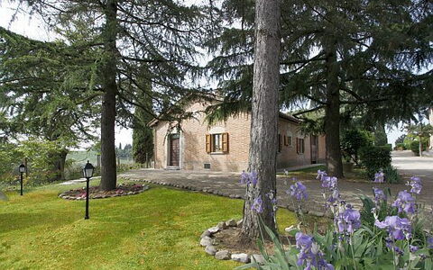 La Farnetina