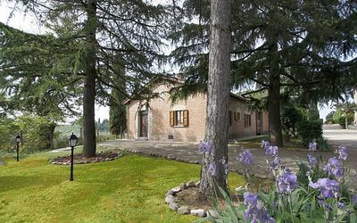 La Farnetina