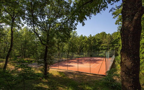 Villa Sant' Angelo: Albero, Ramo, Tronco, Shade, Luce Del Sole, Primavera, Woodland, Ramoscello, Boschetto