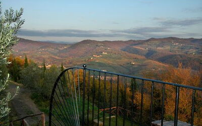 La vista