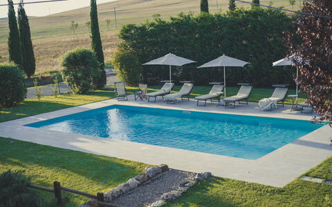 Villa Cassia: Piscina, Proprietà, Tempo Libero, Casa, Erba, Immobiliare, Costruzione, Ricorrere, Albero, Architettura