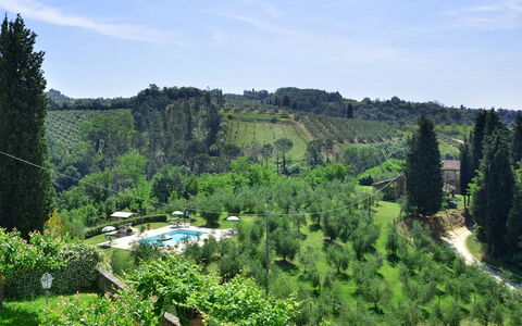 Villa Buonaparte: Vegetazione, Natura, Paesaggio Naturale, Hill Station, Riserva Naturale, Albero, Biome, Natura Selvaggia, Botanica, Montagna