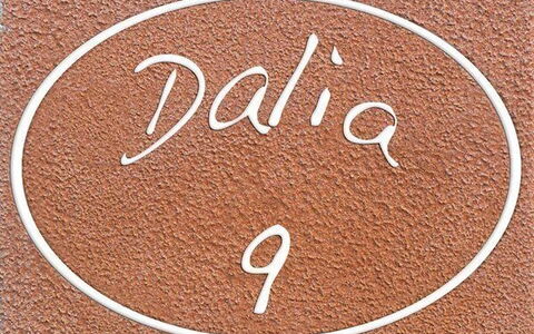 Alloggio:&nbsp;Dalia