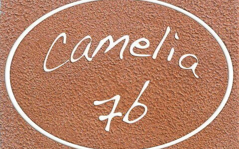 Alloggio:&nbsp;Camelia