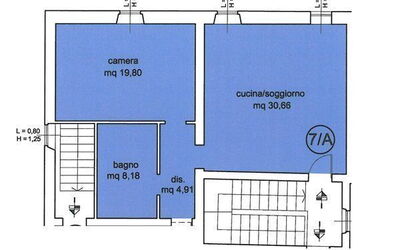 Alloggio:&nbsp;Mimosa