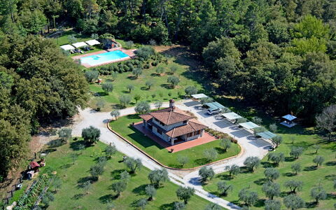 La Casetta nel Bosco: Proprietà, Pianta, Costruzione, Lotto, Urban Design, Albero, Erba, Tempo Libero, Zona Residenziale, Area Rurale