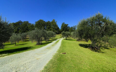 La Casetta nel Bosco: Estate, Agriturismo, Giardino, Landscaping, Hacienda, Prato, Villa, Cortile, Backyard, Dimora