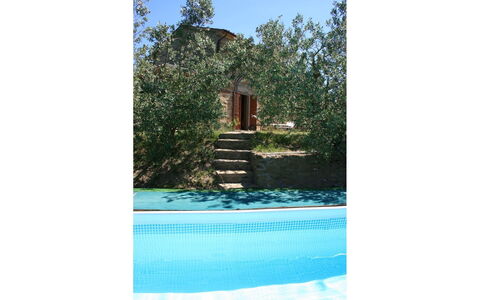 La Casina del Bosco: Pianta, Acqua, Piscina, Rettangolo, Albero, Paesaggio Naturale, Cielo, Sedia, Mobili Da Esterno, Shade