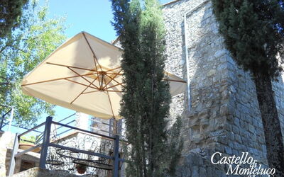 Il “Nibbio” del Castello di Monteluco