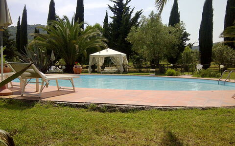 Suvereto