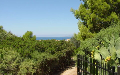 Casa Dei Lentischi: Foglia, Verde, Vegetazione, Arbusto, Comunita 'Impianto, Mare, Oceano, Giardino, Shrubland, Sempreverde