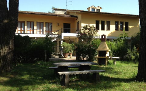 Villa Quattro Mori: Pianta, Costruzione, Cielo, Proprietà, Finestra, Albero, Shade, Lotto, Zona Residenziale, Erba