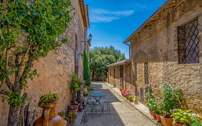 Alloggio:&nbsp;Il Ligustro 300.7