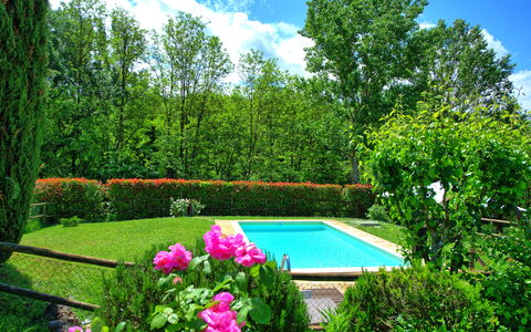 Casa Ovile: Fiore, Acqua, Pianta, Cielo, Nube, Verde, Paesaggio Naturale, Botanica, Albero, Vegetazione