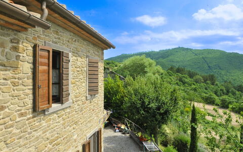 Casetta i Ciliegi: Giardino, Villetta, Agriturismo, Shade, Landscaping, Estate, Cortile, Backyard, Muro ​​Di Pietra, Hacienda