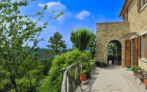 Casetta i Ciliegi: Giardino, Villetta, Agriturismo, Shade, Landscaping, Estate, Cortile, Backyard, Muro ​​Di Pietra, Hacienda
