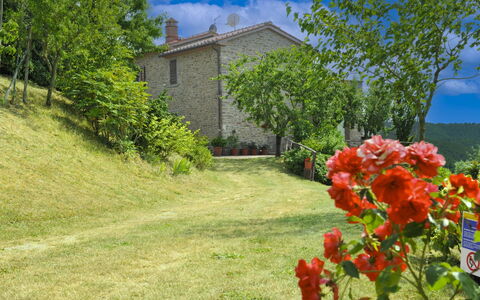 Casetta i Ciliegi: Giardino, Villetta, Agriturismo, Shade, Landscaping, Estate, Cortile, Backyard, Muro ​​Di Pietra, Hacienda