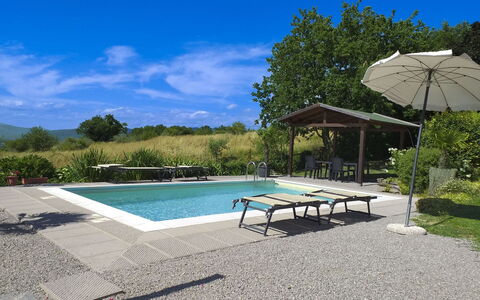 Casetta i Ciliegi: Giardino, Villetta, Agriturismo, Shade, Landscaping, Estate, Cortile, Backyard, Muro ​​Di Pietra, Hacienda
