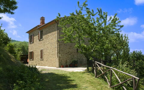 Casetta i Ciliegi: Giardino, Villetta, Agriturismo, Shade, Landscaping, Estate, Cortile, Backyard, Muro ​​Di Pietra, Hacienda