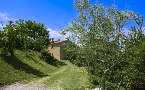 Casetta i Ciliegi: Giardino, Villetta, Agriturismo, Shade, Landscaping, Estate, Cortile, Backyard, Muro ​​Di Pietra, Hacienda