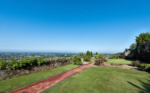 Villa Camaiore: Cielo, Proprietà, Erba, Immobiliare, Giorno, Lotto, Albero, Giardino, Botanica, Prato