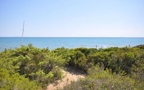 Casamare: Vegetazione, Mare, Riva, Costa, Ambiente Naturale, Spiaggia, Oceano, Shrubland, Cielo, Comunita 'Impianto