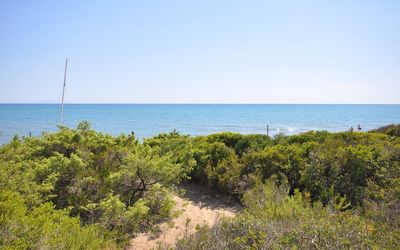Casamare
