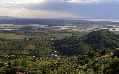 Panorama