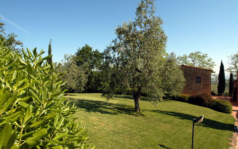 La Valle: Albero, Proprietà, Erba, Casa, Pianta, Giardino, Woody Impianto, Botanica, Immobiliare, Graminacee