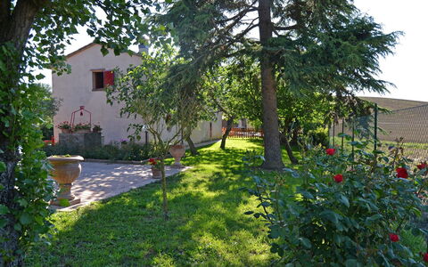 Casa Laura: Proprietà, Cortile, Casa, Giardino, Backyard, Albero, Casa, Costruzione, Immobiliare, Villetta