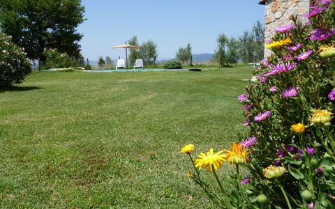 Funghi 1: Prato, Prato, Erba, Giardino, Fiore, Ambiente Naturale, Cortile, Pascolo, Pianta, Wildflower