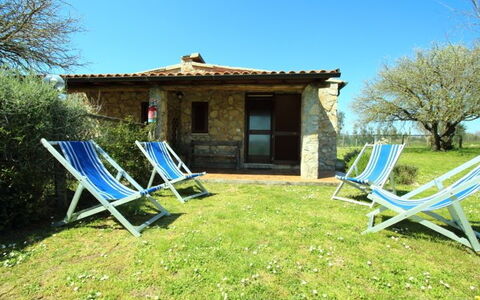 Funghi 1: Proprietà, Villetta, Casa, Costruzione, Immobiliare, Backyard, Casa, Cortile, Albero, Villa