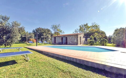 Funghi 1: Pianta, Cielo, Costruzione, Albero, Azzurro, Shade, Piscina, Lotto, Erba, Casa