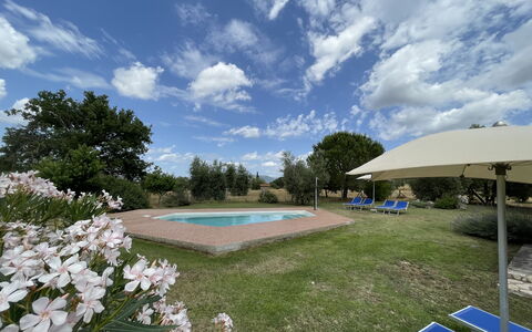 Funghi 1: Nube, Cielo, Pianta, Fiore, Piscina, Acqua, Albero, Erba, Mobili Da Esterno, Shade