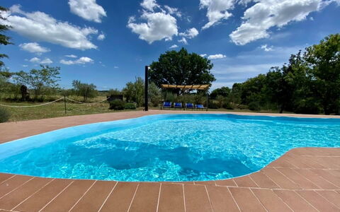 Funghi 2: Acqua, Cielo, Nube, Risorse Idriche, Piscina, Pianta, Azzurro, Rettangolo, Albero, Shade