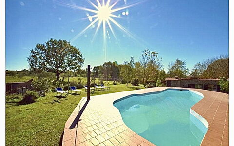 Funghi 2: Acqua, Cielo, Pianta, Natura, Azzurro, Piscina, Erba, Albero, Shade, Rettangolo