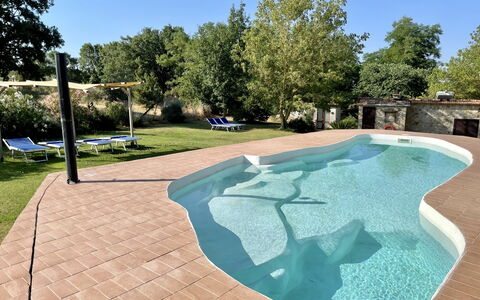 Funghi 2: Cielo, Pianta, Albero, Shade, Urban Design, Erba, Manto Stradale, Tempo Libero, Acqua, Mobili Da Esterno