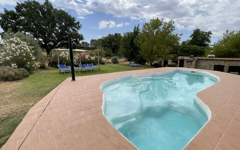 Funghi 2: Nube, Cielo, Acqua, Pianta, Piscina, Albero, Shade, Tempo Libero, Materiale Composito, Immobiliare