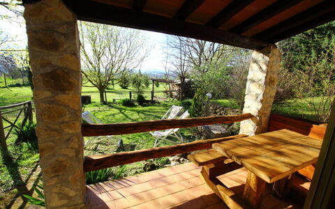 Funghi 2: Proprietà, Paesaggio Naturale, Camera, Costruzione, Casa, Albero, Portico, Immobiliare, Villetta, Landscaping