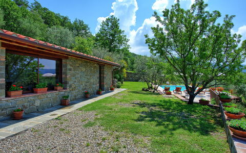 Villa Noceta: Proprietà, Cortile, Casa, Immobiliare, Casa, Albero, Erba, Costruzione, Architettura, Giardino