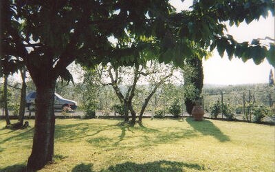 Casa Ivo