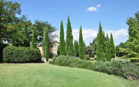 Le Querce Di Campocane: Albero, Erba, Giardino, Thuya, Arbusto, Prato, Pianta, Giardino Botanico, Proprietà, Woody Impianto