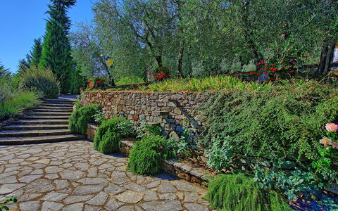 Villa Montalcino: Giardino, Vegetazione, Parete, Albero, Pianta, Passerella, Giardino Botanico, Botanica, Paesaggio, Graminacee