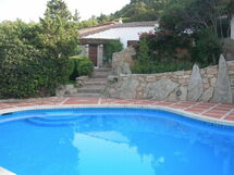 Brigante