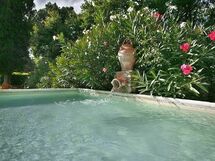 Villa Poppiano